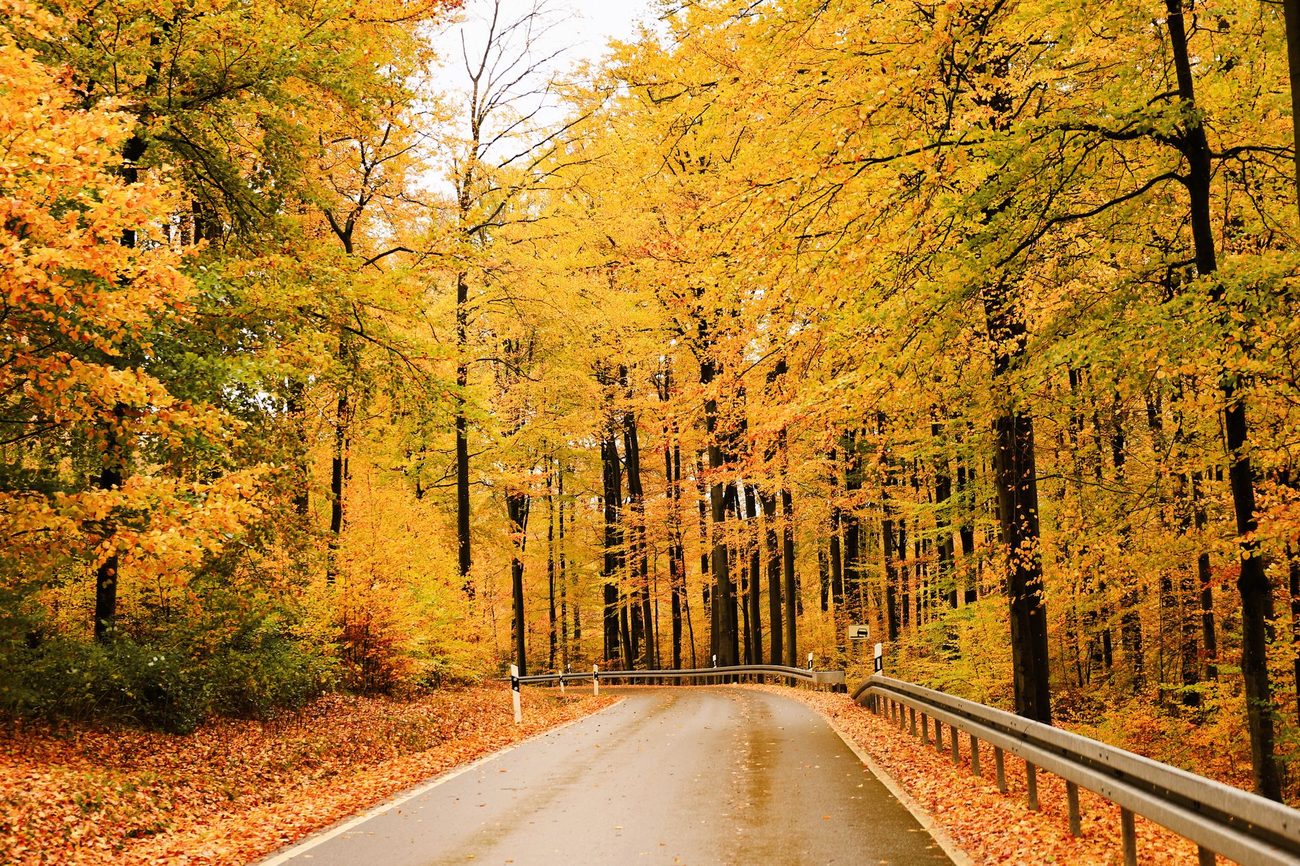 Fall drives in northeast Missouri on half a tank