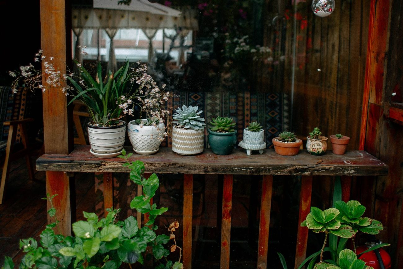 Growing herbs and tomatoes in buckets on a duplex porch