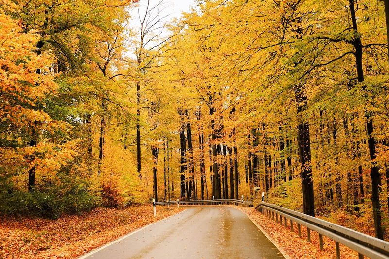 Fall drives in northeast Missouri on half a tank