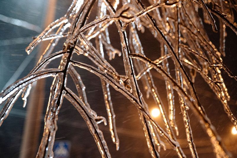 Nine hours without power: the ice storm and what we bought after