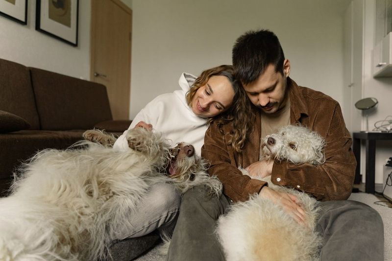 Pet sitting for neighbors: an easy $40 weekend