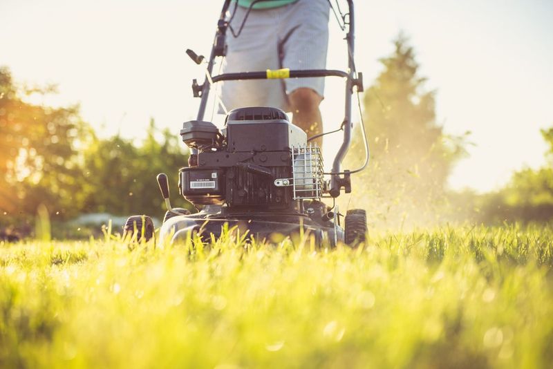 Tyler's mowing business: six yards and a used push mower
