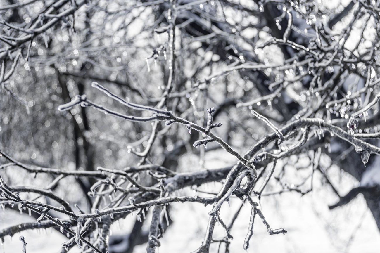What our renters insurance did and didn't cover after the ice storm